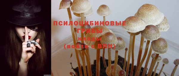 гашик Балабаново