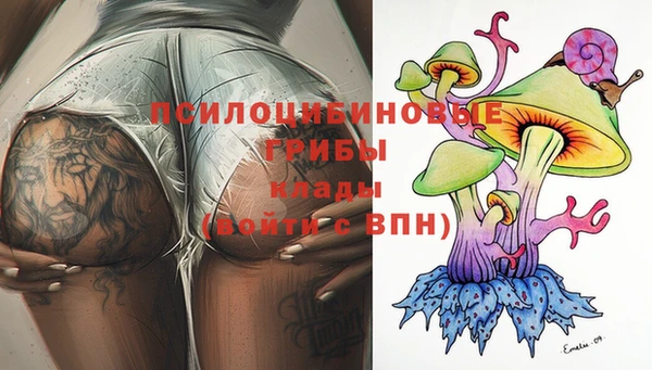 PSILOCYBIN Баксан