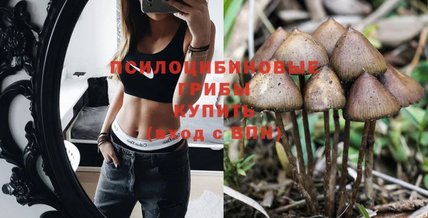 гашик Балабаново